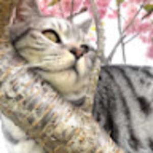 Meet your Posher, Mila